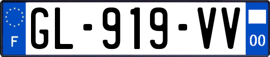 GL-919-VV