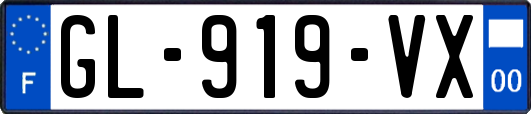 GL-919-VX