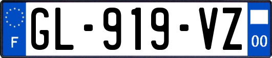 GL-919-VZ