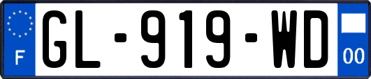GL-919-WD