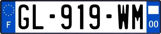 GL-919-WM