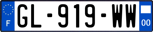 GL-919-WW