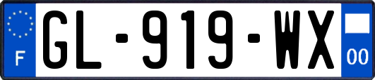 GL-919-WX