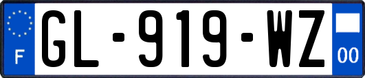 GL-919-WZ