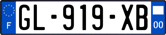 GL-919-XB
