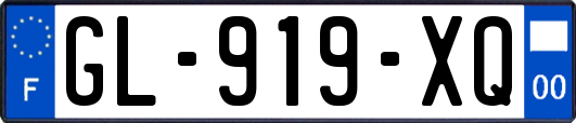 GL-919-XQ