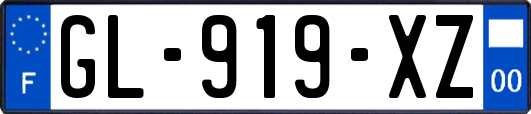 GL-919-XZ