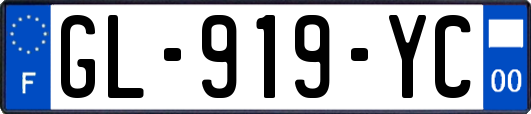 GL-919-YC