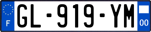 GL-919-YM