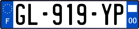 GL-919-YP