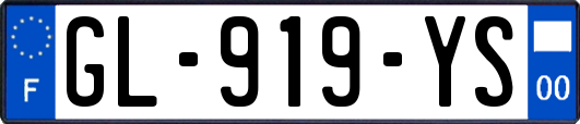 GL-919-YS