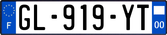 GL-919-YT
