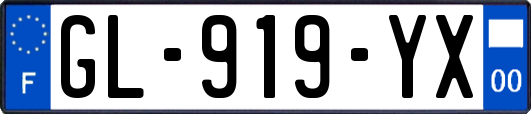 GL-919-YX