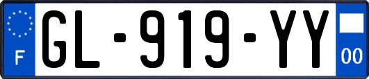 GL-919-YY