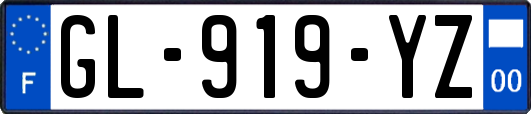 GL-919-YZ