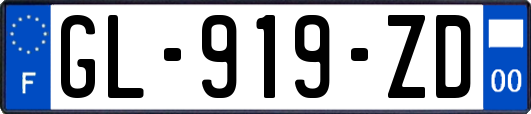 GL-919-ZD