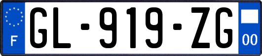 GL-919-ZG