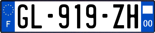 GL-919-ZH