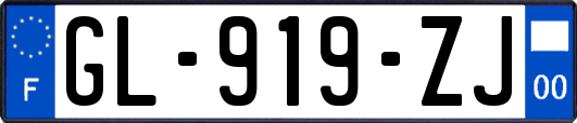 GL-919-ZJ