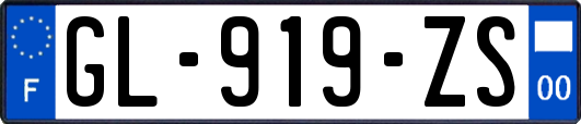 GL-919-ZS