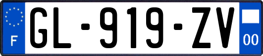 GL-919-ZV