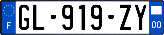 GL-919-ZY