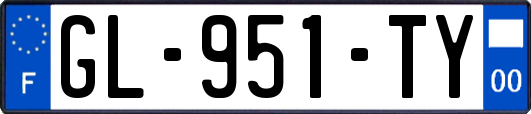 GL-951-TY