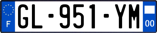 GL-951-YM