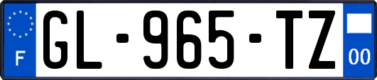 GL-965-TZ