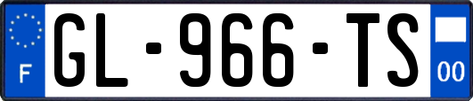 GL-966-TS