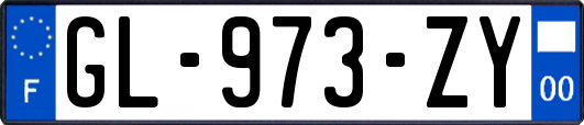 GL-973-ZY