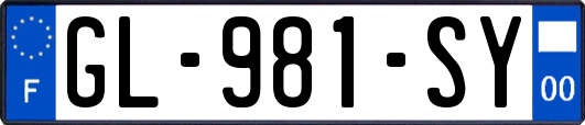 GL-981-SY