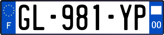 GL-981-YP