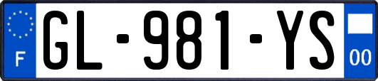 GL-981-YS