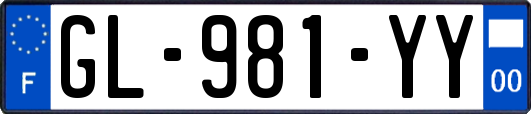 GL-981-YY