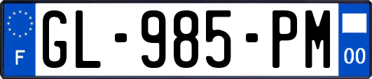 GL-985-PM