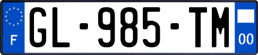 GL-985-TM