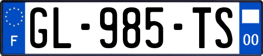 GL-985-TS