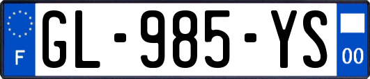GL-985-YS
