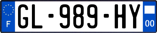 GL-989-HY