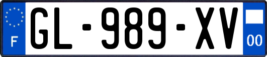 GL-989-XV