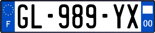 GL-989-YX