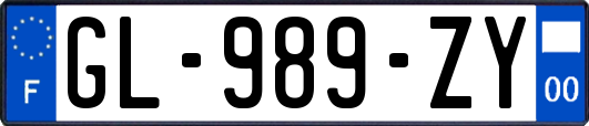 GL-989-ZY