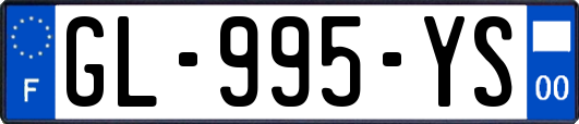 GL-995-YS