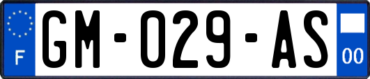 GM-029-AS