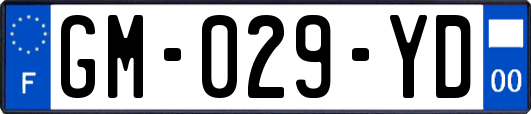 GM-029-YD
