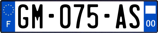 GM-075-AS