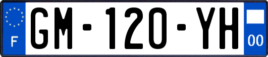 GM-120-YH