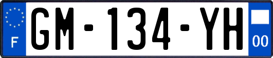GM-134-YH