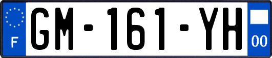 GM-161-YH
